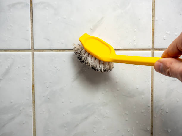 Best Mold Cleaning Services  in Lander, WY