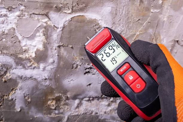 Best Mold Removal Company Near Me  in Lander, WY